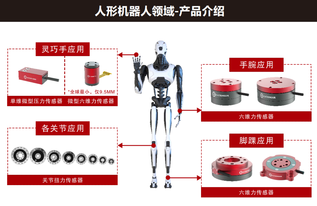 深耕力学传感器十四载，鑫精诚传感器进击人形机器人新赛道